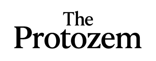 The Protozem